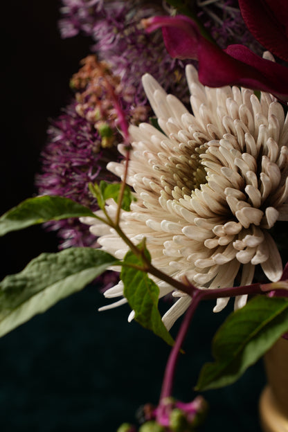 Florist's Pick - Wrapped Bouquet