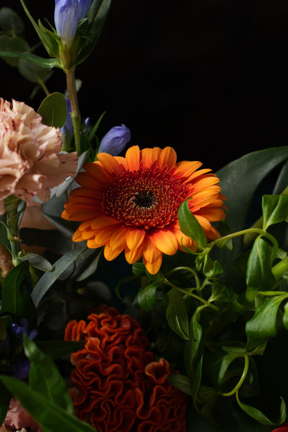 Florist's Pick - Wrapped Bouquet